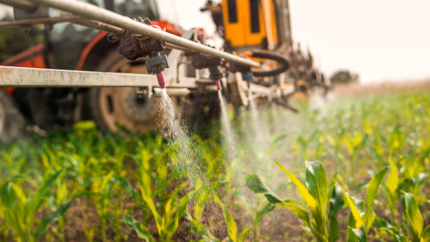 Best Mosquito Control Services  in Mckinley, PA